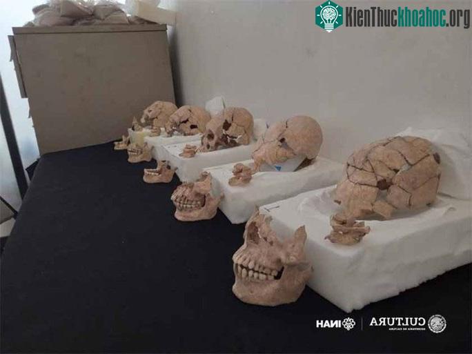Các hộp sọ đã được phân tích trong số 13 hộp sọ lạ được khai quật gần kim tự tháp