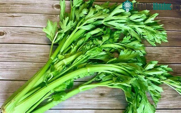 Rau cần tây có tác dụng lợi tiểu.
