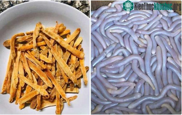 "Mì chính nhà giàu" có hình dạng na ná như một con giun khổng lồ nhiều màu sắc.