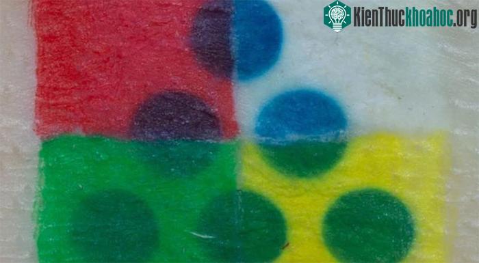 Mực "hình xăm thông minh" xuất hiện dưới dạng các chấm màu xanh lam