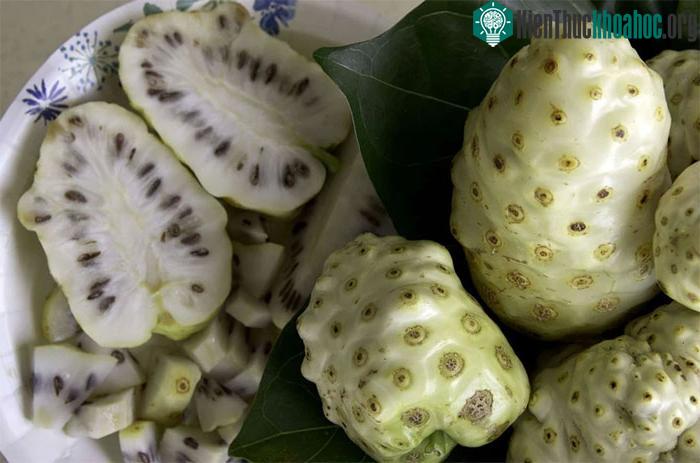 Chất chống oxy hóa trong quả nhàu giúp tăng cường hệ miễn dịch