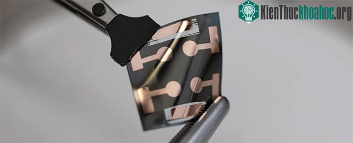 Tấm pin tự phục hồi của nhóm nghiên cứu Úc