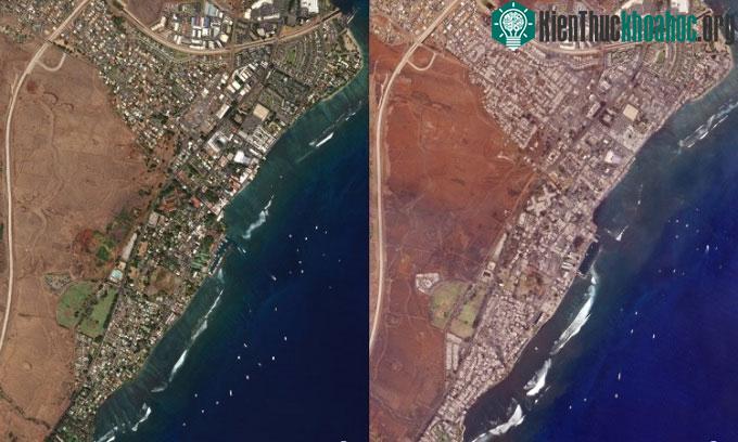 Thị trấn Lahaina bị ngọn lửa tàn phá.