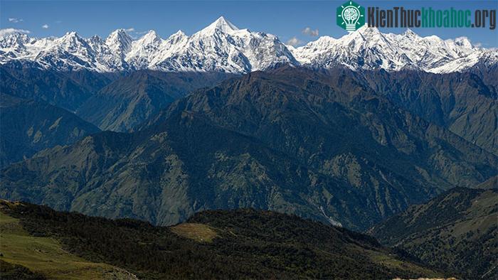 Dãy Himalaya, ngôi nhà của Takakia