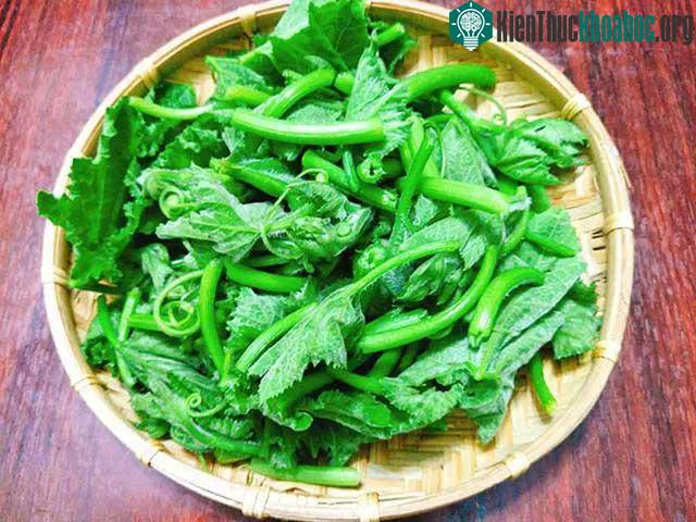 Chất xơ trong rau bí vừa tốt cho hệ tiêu hóa lại có thể phòng ngừa ung thư ruột kết.