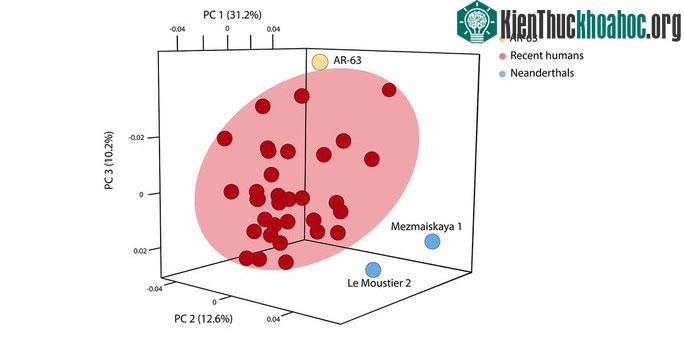 Phát hiện hài cốt người có thể là con lai với một loài khác ở Pháp ảnh 1