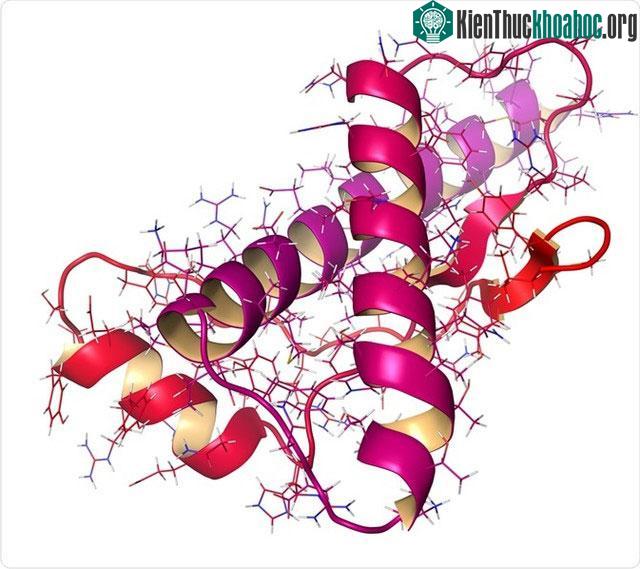 Căn bệnh quan trọng nhất liên quan đến prion là bệnh prion