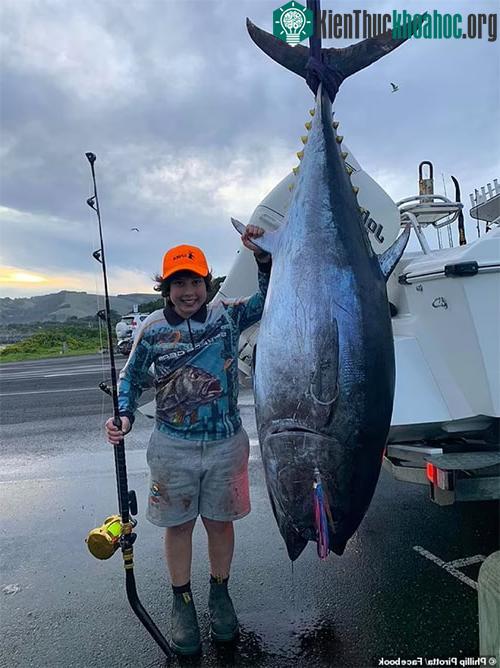 Jakim Azzopardi mất hơn một giờ để đưa con cá ngừ nặng 116,5kg lên thuyền.