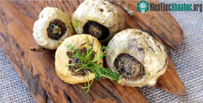 Maca&nbsp;chứa nhiều sắt, vitamin B2, chất xơ, canxi và kẽm.