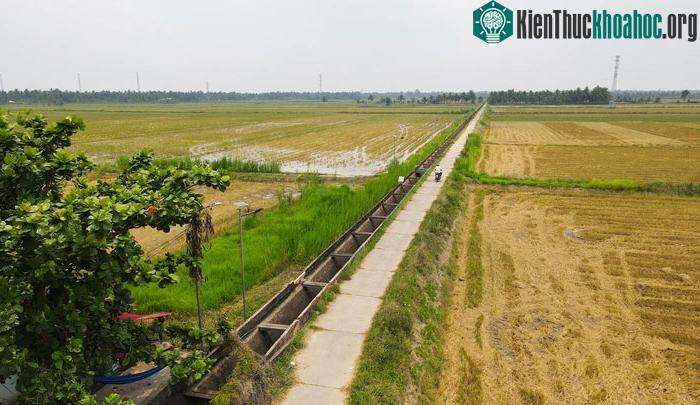AWD đã được thử nghiệm và sử dụng ở các vùng sản xuất lúa gạo trên khắp thế giới