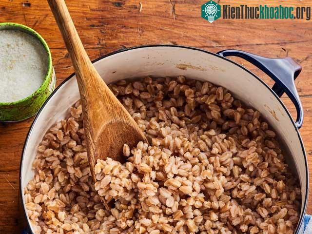 Farro là thực phẩm giàu chất xơ.