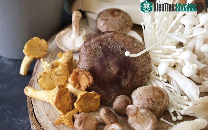 Thận trọng khi lựa chọn và sơ chế nấm để tránh ngộ độc thực phẩm hoặc lây nhiễm chéo