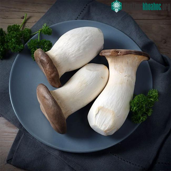 Hàm lượng protein trong 100g nấm đùi gà tương đương với nửa quả trứng.
