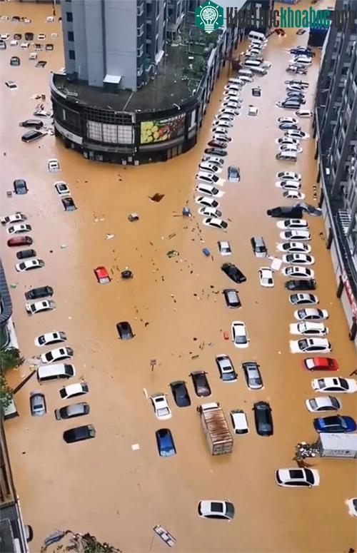 Hàng dài la liệt những chiếc ô tô chìm sâu dưới dòng nước