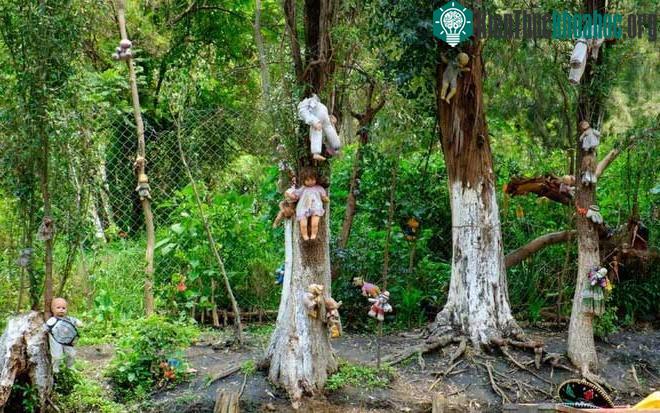 Những hình ảnh đen tối và bi thương trong Aokigahara.