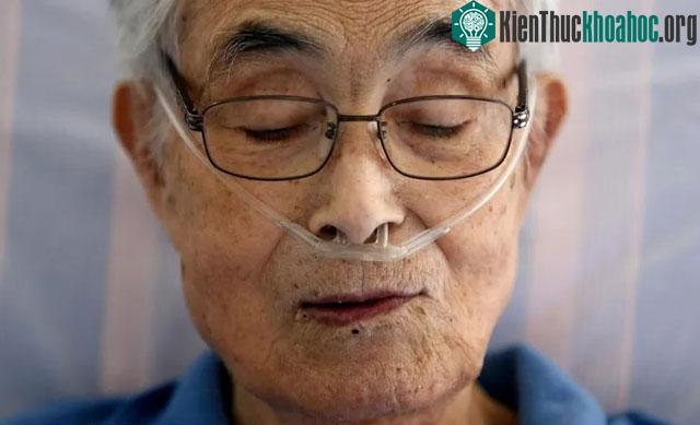Giới khoa học Nhật Bản đã tìm ra "chìa khóa" để đảo ngược quá trình lão hóa ảnh 2
