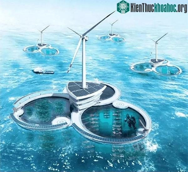 Hình vẽ phác thảo một trang trại theo mô hình nuôi cá + điện gió.
