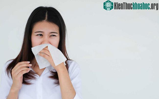 Mặc đồ ẩm lâu dễ sản sinh nấm Stachybotrys chartarum, gây nhiễm trùng cơ quan hô hấp.