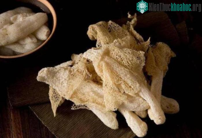 Nấm tre là một trong loại nấm có giá trị dinh dưỡng cao