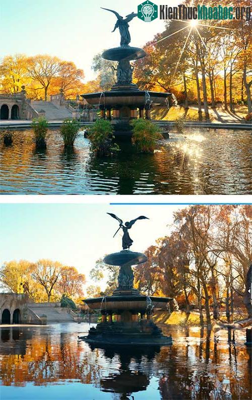 Thành phố New York, Mỹ
