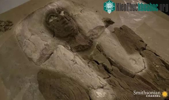 Phụ nữ thời Ai Cập cổ đại thường đội tóc giả Hathor.
