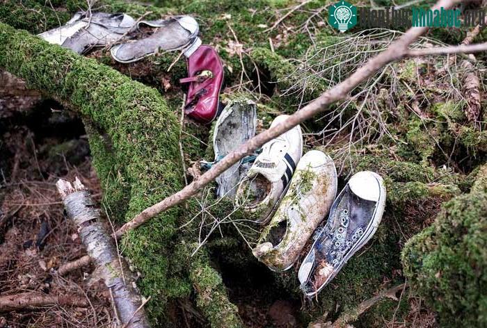 “Cánh rừng tự sát” của Nhật Bản hiện tại thế nào sau nhiều năm gây ám ảnh? ảnh 3