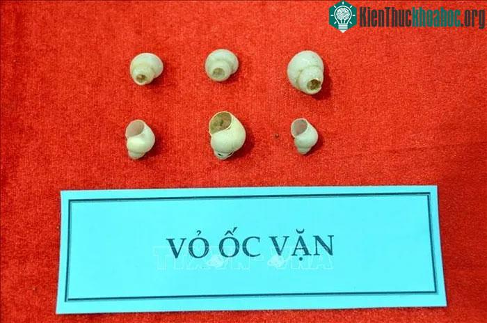 Các hiện vật thu được sau khai quật di chỉ khảo cổ hang Ngườm Sâu