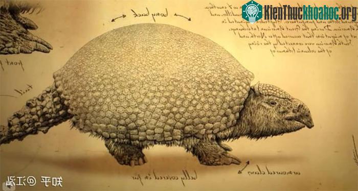 Glyptodont được xem là tổ tiên của các loài thú có mai hiện đại.