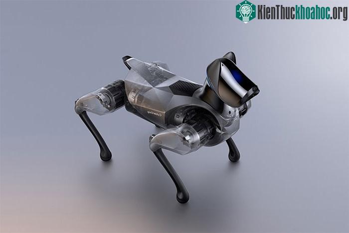 Xiaomi dần hoàn thiện dòng chó robot thông minh CyberDog ảnh 3
