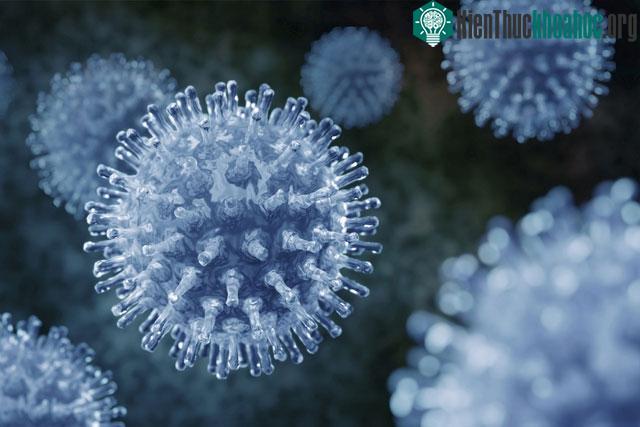 Prion cũng có thể liên quan đến sự xuất hiện của một số bệnh ung thư.