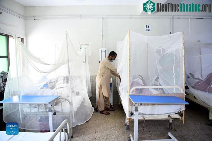 Bệnh nhân mắc sốt xuất huyết được điều trị tại bệnh viện ở Islamabad, Pakistan