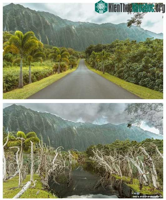 Thành phố Hawaii, Mỹ