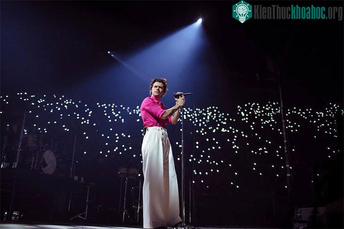 Ca sĩ Harry Styles