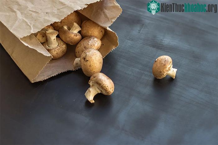 Bảo quản nấm tươi trong tủ lạnh tối đa 1 tuần.