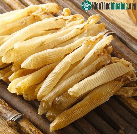 Sá sùng có tác dụng tốt trong điều trị nhiều loại bệnh.