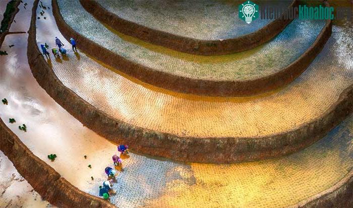 Cảnh nơi đây thực sự là món quà kỳ vĩ vào mùa hạ dành cho những người yêu thích thiên nhiên