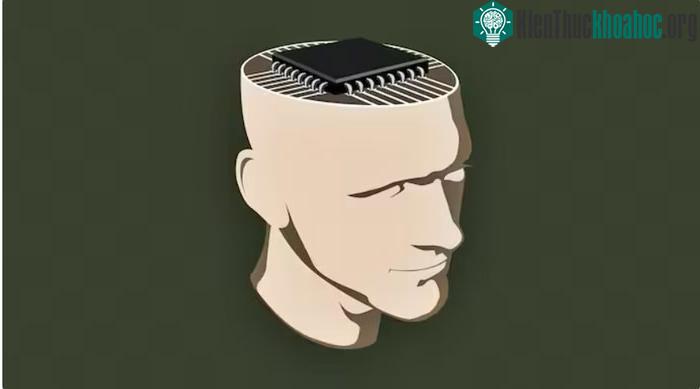 Quên AI đi, thời của trí tuệ hữu cơ tới rồi: Công nghệ táo bạo khiến chip máy tính trở nên lỗi thời ảnh 4