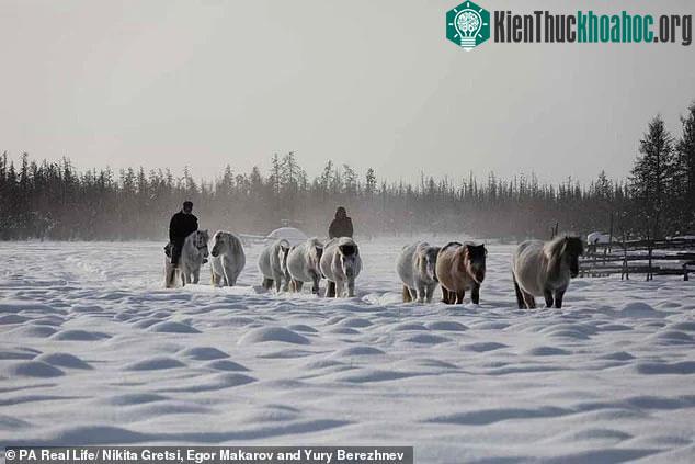 Nhiệt độ tại vùng Siberia có thể xuống tới -39°C.