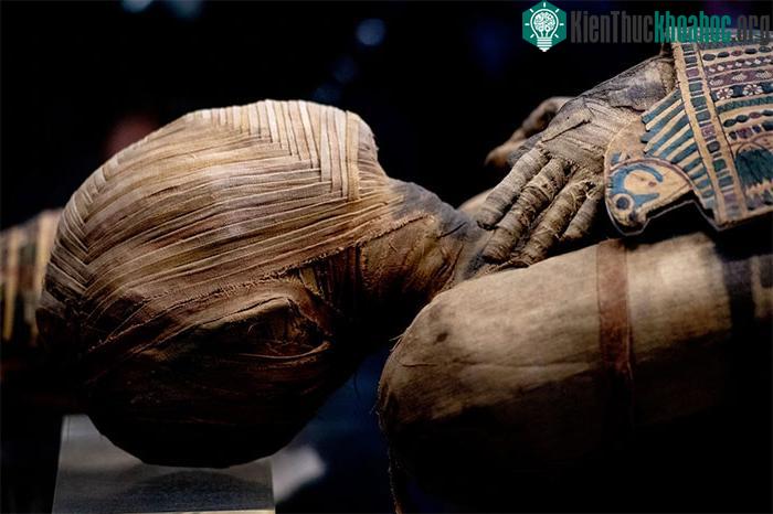 Thông thường, quá trình ướp xác sẽ diễn ra trong khoảng 70 ngày.