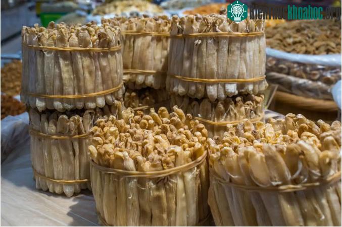 Hiện nay, sá sùng bỗng trở thành "mì chính nhà giàu" và được săn lùng nhiều hơn
