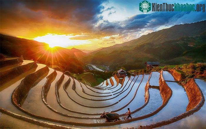Ngắm nhìn ruộng bậc thang Mù Cang Chải mùa nước đổ ảnh 6