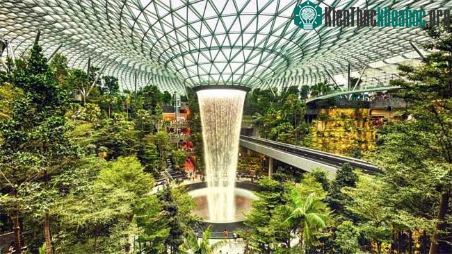 The Rain Vortex - thác nước xoáy trong nhà cao nhất thế giới.