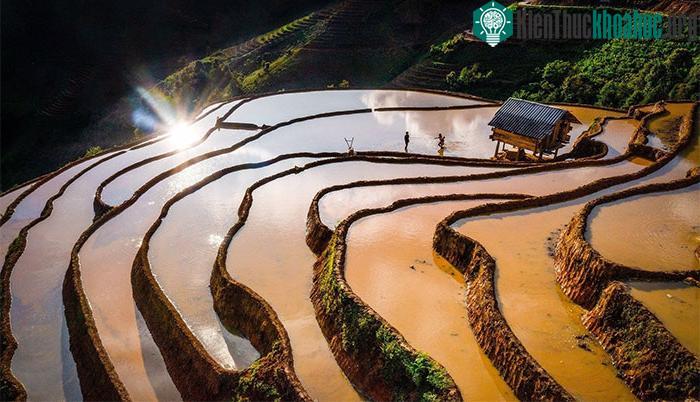 Ngắm nhìn ruộng bậc thang Mù Cang Chải mùa nước đổ ảnh 7