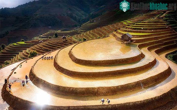 Ngắm nhìn ruộng bậc thang Mù Cang Chải mùa nước đổ ảnh 8