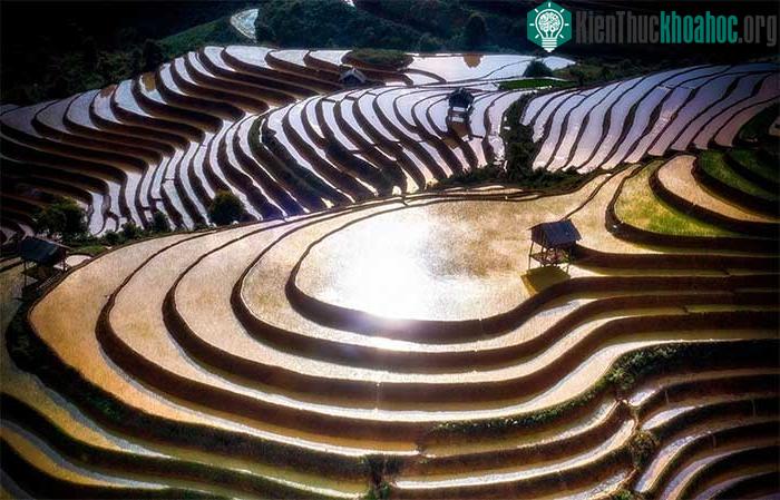 Ngắm nhìn ruộng bậc thang Mù Cang Chải mùa nước đổ ảnh 9
