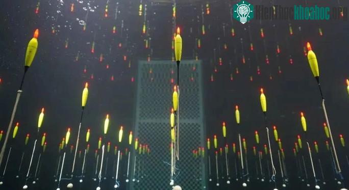 Máy dò hạt ma quỷ TRIDENT của Trung Quốc