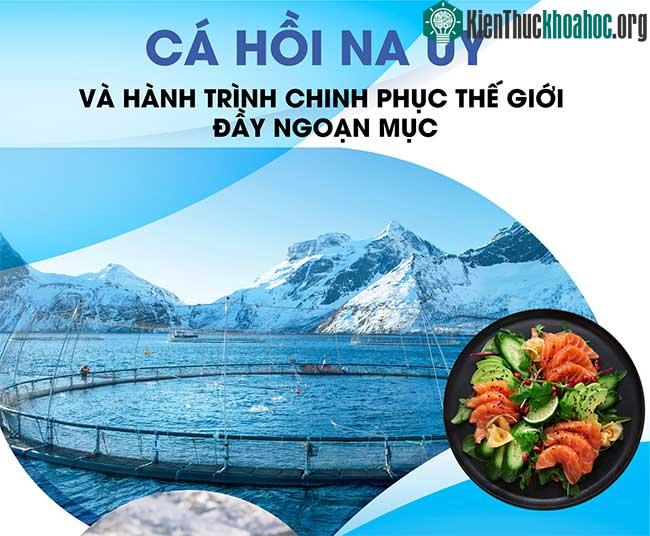 Khám phá công nghệ nuôi cá hồi xịn sò ở Na Uy