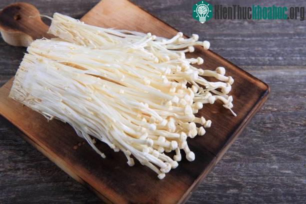 Nấm kim châm là nguồn cung cấp chất xơ và protein dồi dào