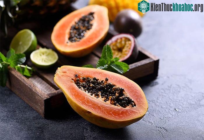 Hạt đu đủ có chứa enzyme papain và chất xơ tốt cho hệ tiêu hóa.