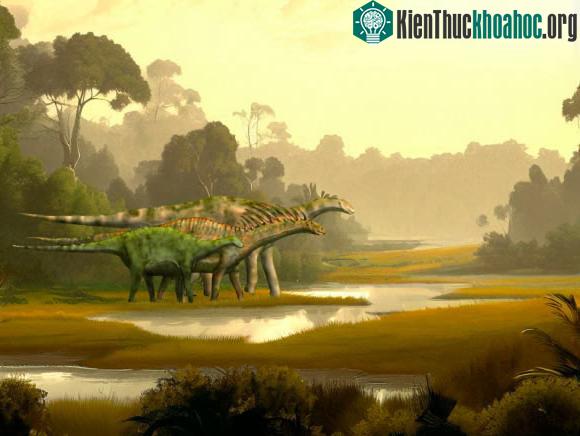 Ảnh đồ họa mô tả một số loài trong gia đình quái thú